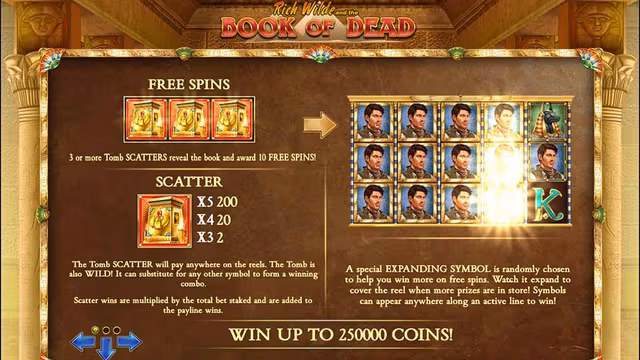 Book of Dead spielen